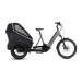 Tricycle Electrique Cube Trike Family Hybrid 750 Gris/Reflex 2023 (689622)