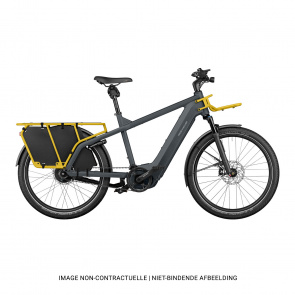Vélo Electrique Riese & Müller Multicharger2 GT Vario 750 Gris/Curry 2023 (Safety Bar + RX Chip)