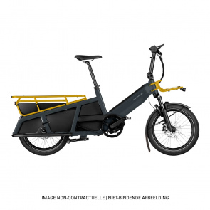 Riese & Muller Vélo Electrique Riese & Müller Multitinker Vario 625 Gris/Curry 2024