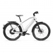 Vélo Electrique 45 km/h Stromer ST2 Pinion Gris Lune 2023 (983-S-RF-SP)